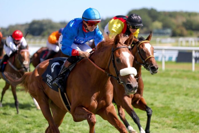 Ashiana Queen siegt unter Thore Hammer-Hansen