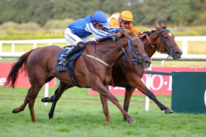 Atlantic Ways (oranger Dress) siegt unter Martin Seidl im Coolmore Stud Baden-Baden Cup