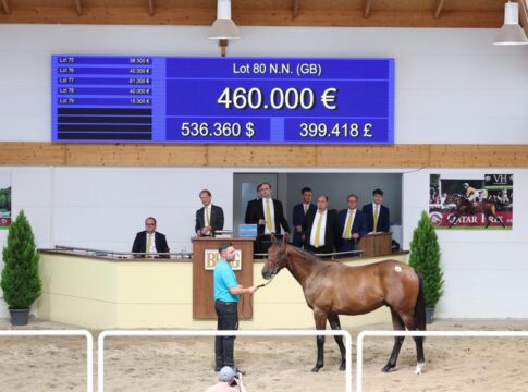 Der Frankel-Sohn aus der Wellenspiel