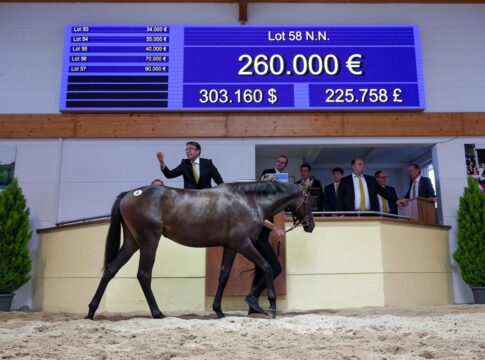 Diamanta-Tochter von Sea The Stars - Brümmerhof löst Foalshare Der Hammer für den Sea The Stars-Sohn aus der Diamanta fällt bei 260.000 Euro