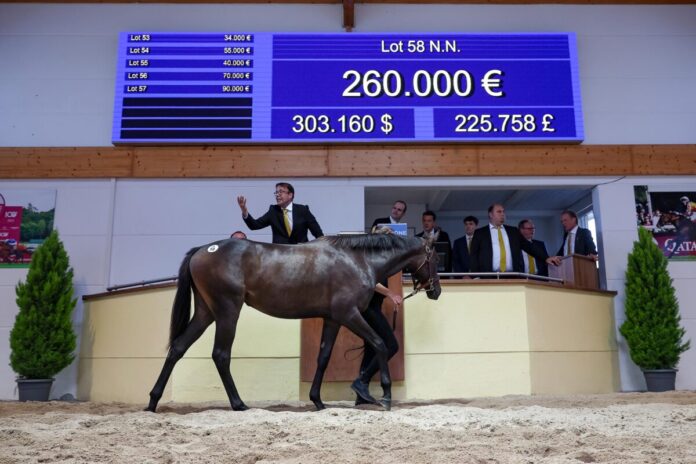 Der Hammer für den Sea The Stars-Sohn aus der Diamanta fällt bei 260.000 Euro