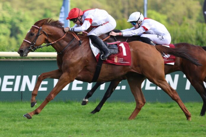 Lordano siegt unter Sibylle Vogt im Comer Group International 55. Oleander-Rennen Lordano siegt unter Sibylle Vogt im Comer Group International 55. Oleander-Rennen