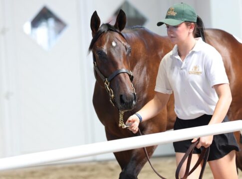Liberty Racing meldet sich an und kauft Fantastic Moon-Verwandten Neuzugang für Liberty Racing: Der Iquitos-Sohn aus der Relevant