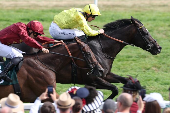 Saddadd siegt unter Jack Mitchell im Wettstar.de - 156. Grosser Preis von Baden, Gr.1 Saddadd siegt unter Jack Mitchell im Wettstar.de - 156. Grosser Preis von Baden, Gr.1