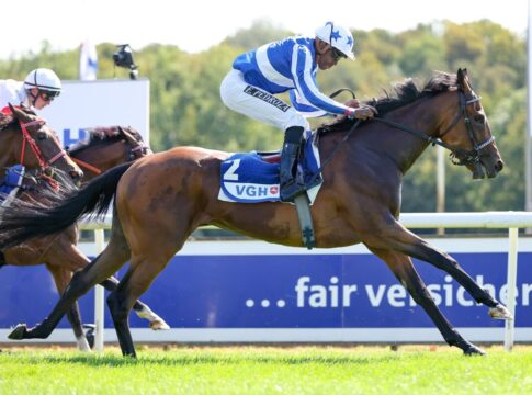 Gleich drei echte Highlights in Hannover - Wöhler immer mit dabei Zabeel Dream