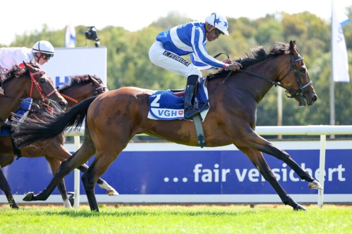 Zabeel Dream