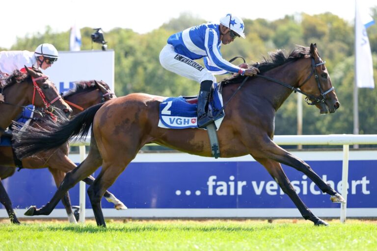 Zabeel Dream