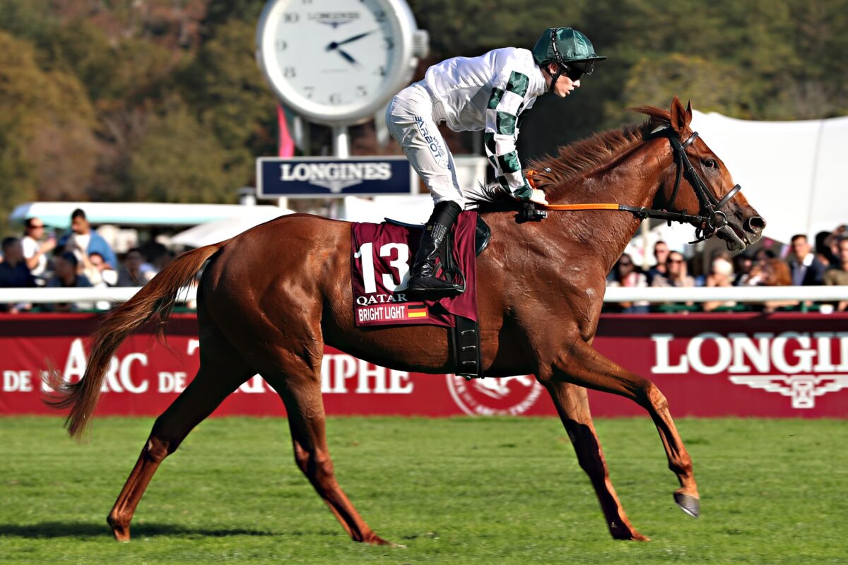 Bright Light von Suborics zu Joseph O’Brien – Ziel Hong Kong ...