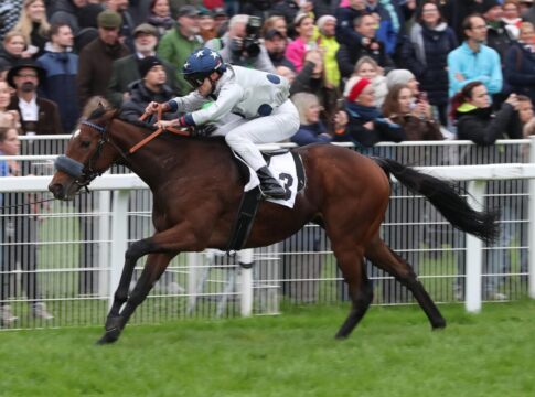 Winterkönigin Dalmera bekommt 92,5 Kilo vom Handicapper Dalmera siegt unter Thore Hammer-Hansen im Carla Kellner Zukunftsrennen - Preis der Winterkönigin, Gr.3