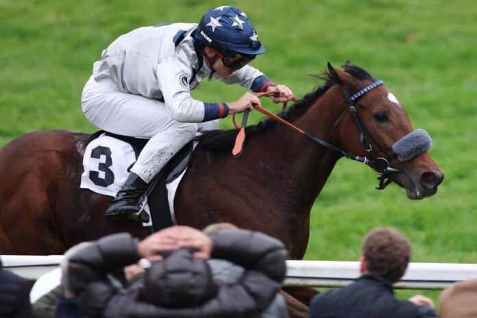 Dalmera siegt unter Thore Hammer-Hansen im Carla Kellner Zukunftsrennen - Preis der Winterkönigin, Gr.3 Dalmera siegt unter Thore Hammer-Hansen im Carla Kellner Zukunftsrennen - Preis der Winterkönigin, Gr.3