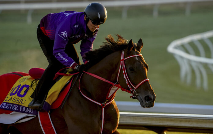 Forever Young bei der Morgenarbeit in Keeneland Foto: Eclipse Sportswire