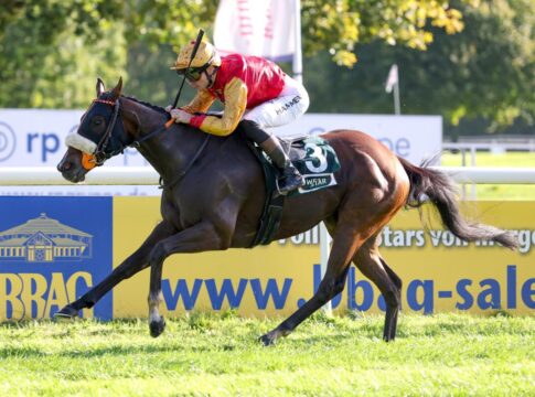 Maidstone siegt unter Thore Hammer-Hansen