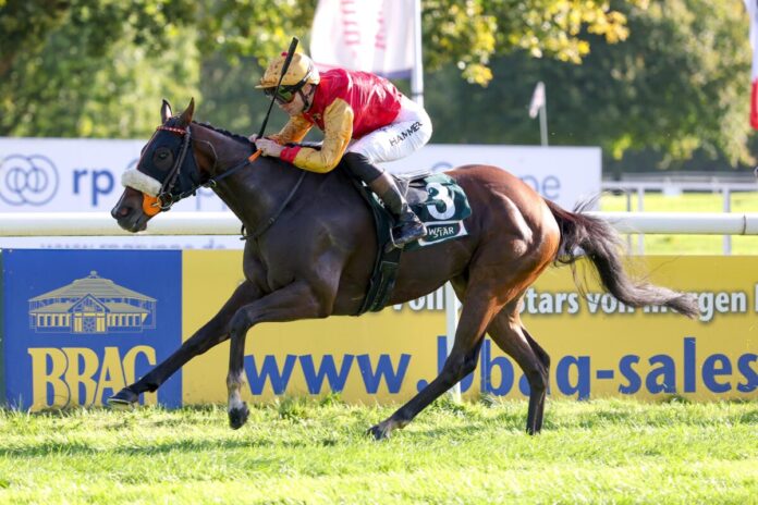Maidstone siegt unter Thore Hammer-Hansen