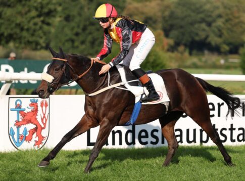 Belgischer Sieg in Junior Talent's Trophy Milo siegt unter Celia Lohest in der Young Talents Trophy - Fegentri World Junior Championship