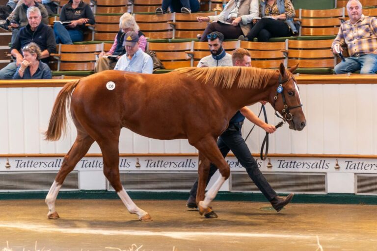 Night of Thunder x My Astra Lot-130-©Tattersalls-1