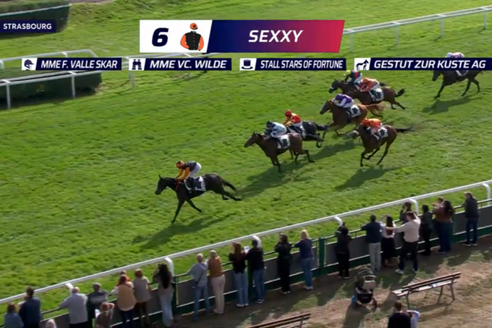 Sexxy
