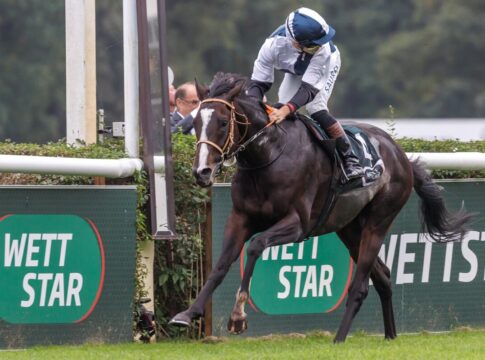 Überraschung in Hoppegarten – Snow Player gewinnt Preis der Deutschen Einheit Snow Player siegt mit Umgucken unter Thore Hammer-Hansen im WETTSTAR.de -36. Preis der Deutschen Einheit