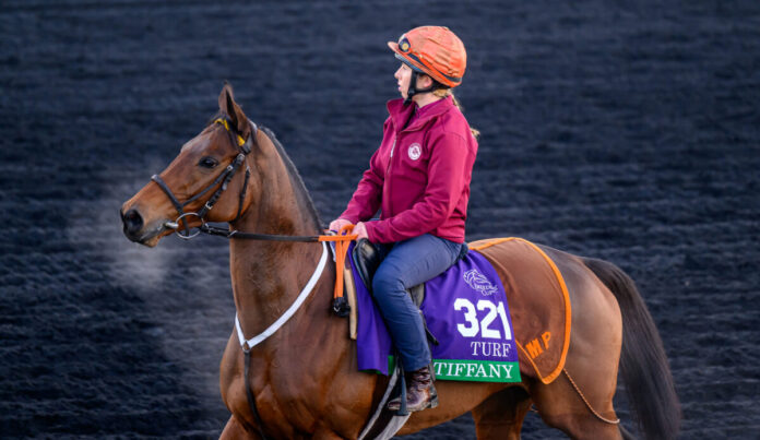 Tiffany in Keeneland Foto: Eclipse Sportswire Tiffany in Keeneland Foto: Eclipse Sportswire