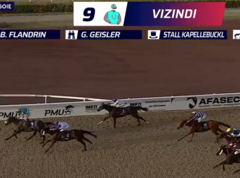Vizindi