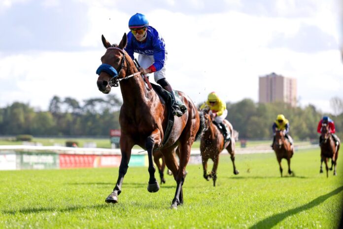 Western siegt unter Thore Hammer-Hansen im Preis des Winterfavoriten, Gr.3