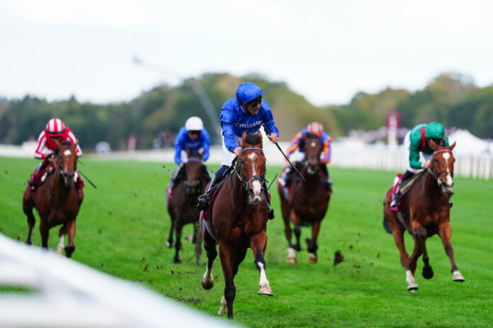 Ombudsman (Ascot Racecourse)
