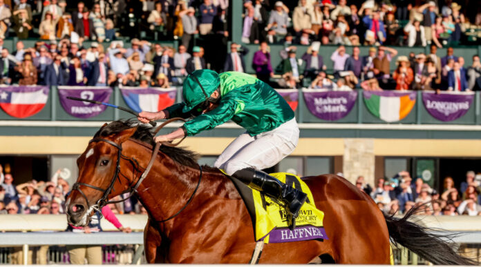 Haffner (Katherine Turnbull/Eclipse Sportswire/Breeders Cup)