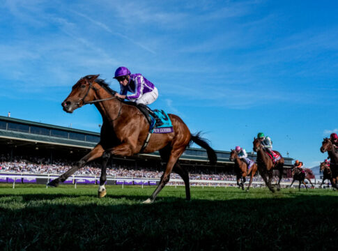 Sun Goddess gewinnt mit Ryan Moore (Casey Laughter and Scott Serio/Eclipse Sportswire/Breeders Cup)