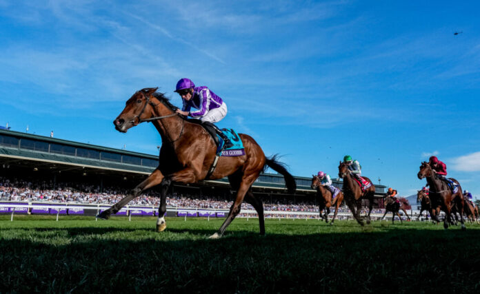 Sun Goddess gewinnt mit Ryan Moore (Casey Laughter and Scott Serio/Eclipse Sportswire/Breeders Cup)