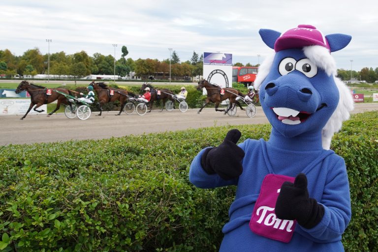 Die Traber: Das Programm für Mariendorf