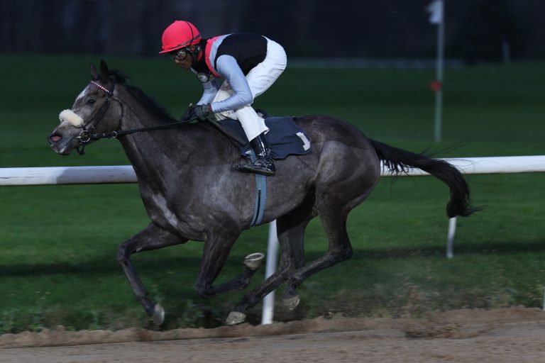 225.000 Euro: A Raving Beauty doch verkauft