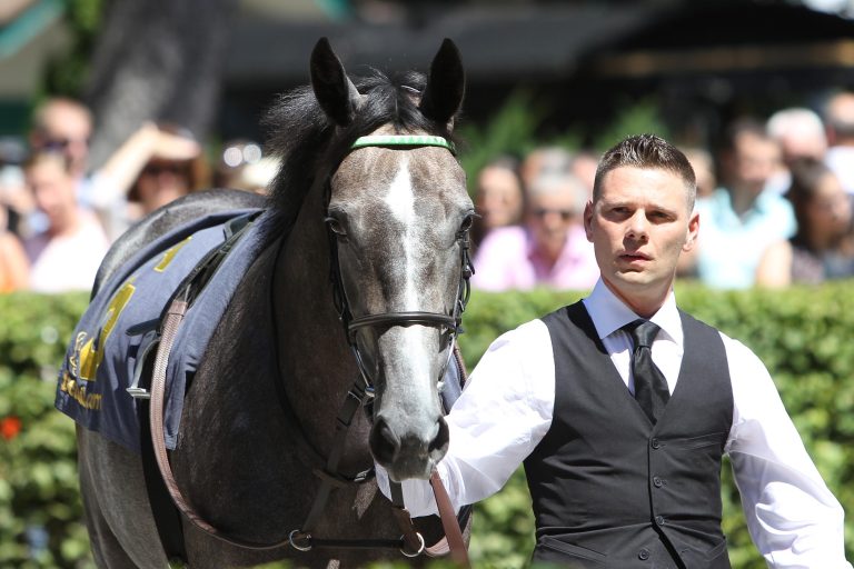 Mailand: Listenplatzierung und Sieg für Stall Salzburg
