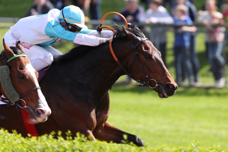 Der kleine Bruder von Gamgoom springt zum Sieg