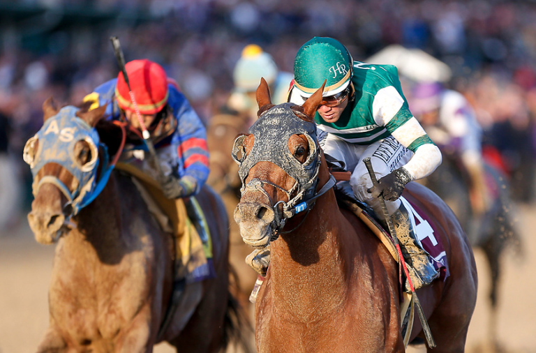 Wer wird Amerikas Pferd des Jahres?