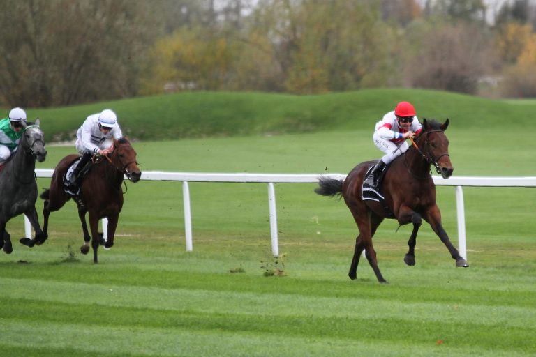 Accaro leichter Sieger in Münchener Auftaktprüfung