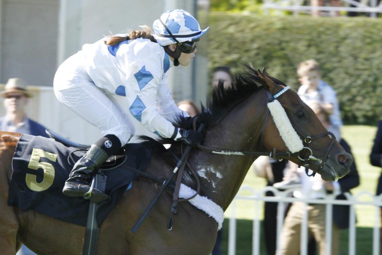 Ach was nach Koppelunfall nicht zu retten