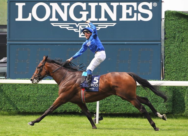 Was macht eigentlich Adayar?