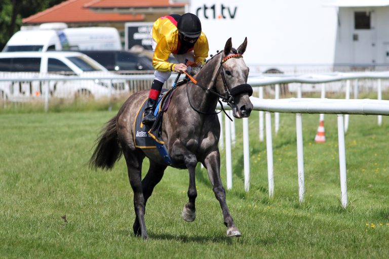 Adrian Favorit und dann Gruppesieger