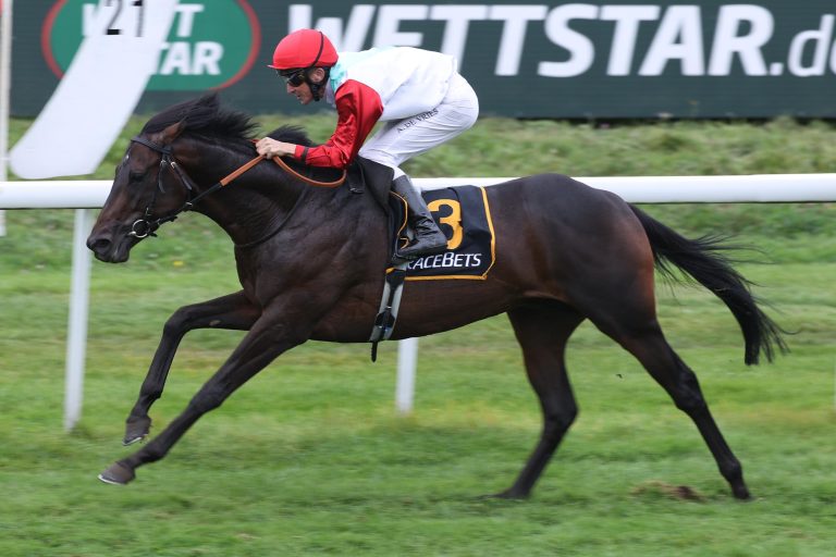 Noch elf Kandidaten für das „Silberne Pferd“