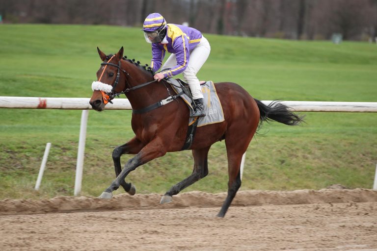 Aidenfield gewann zuletzt noch in Dortmund