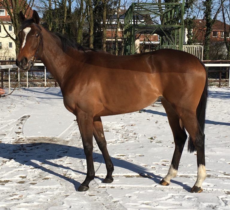 Akua’rella Sechste beim Listenstart in Newmarket