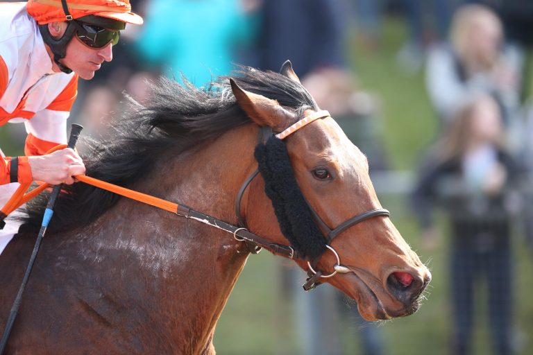 Albertville für 140.000 Euro an Badgers Bloodstock