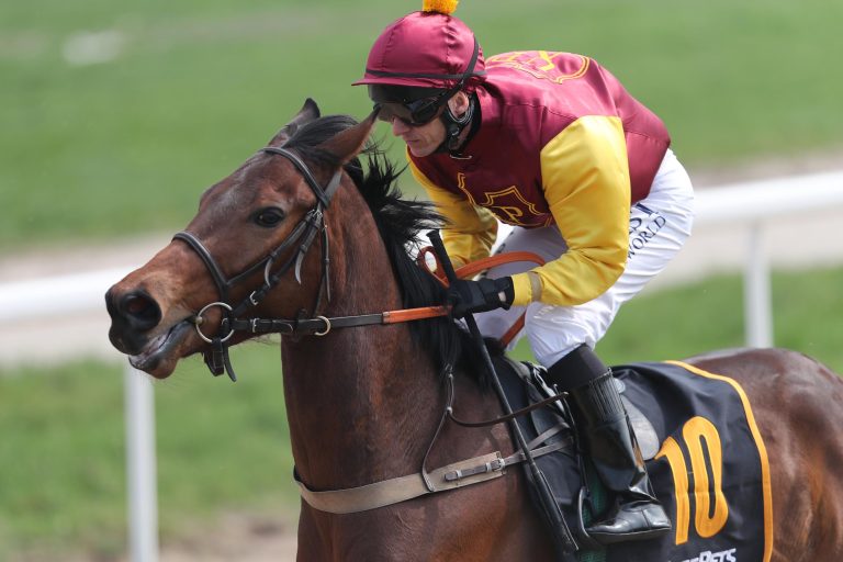 Dreijährige Alenza miit starkem Handicapeinstand