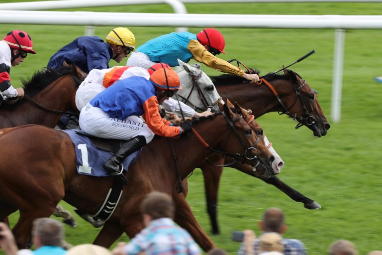 Wow! Adrie fliegt mit Alicante vom letzten Platz zum Sieg