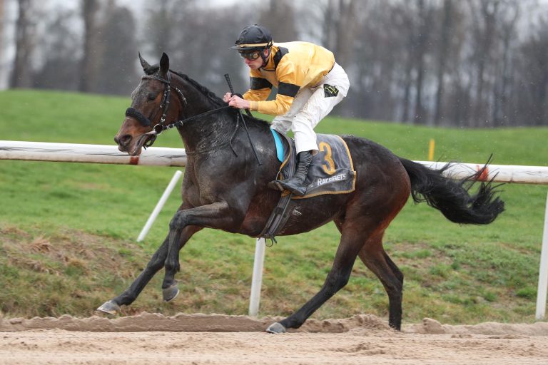 220:10! Alinaro gewinnt Meiler-Auktionsrennen