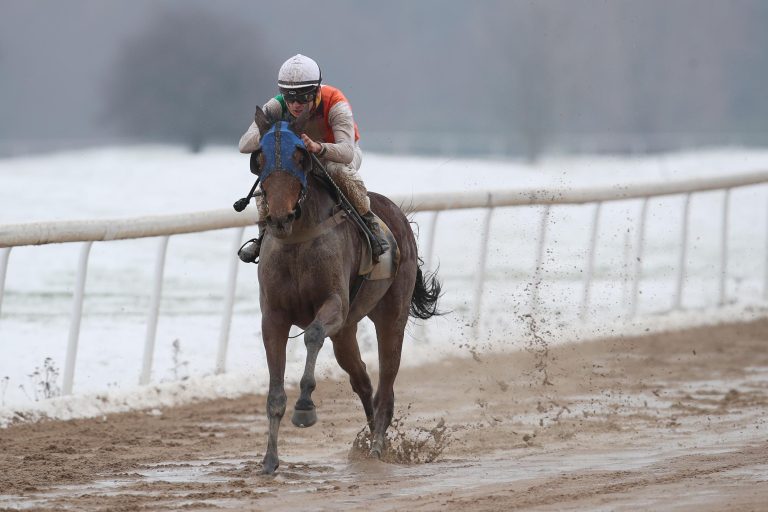 Elf-Längen-Sieg! Aljondra lässt Wikileaks keine Chance