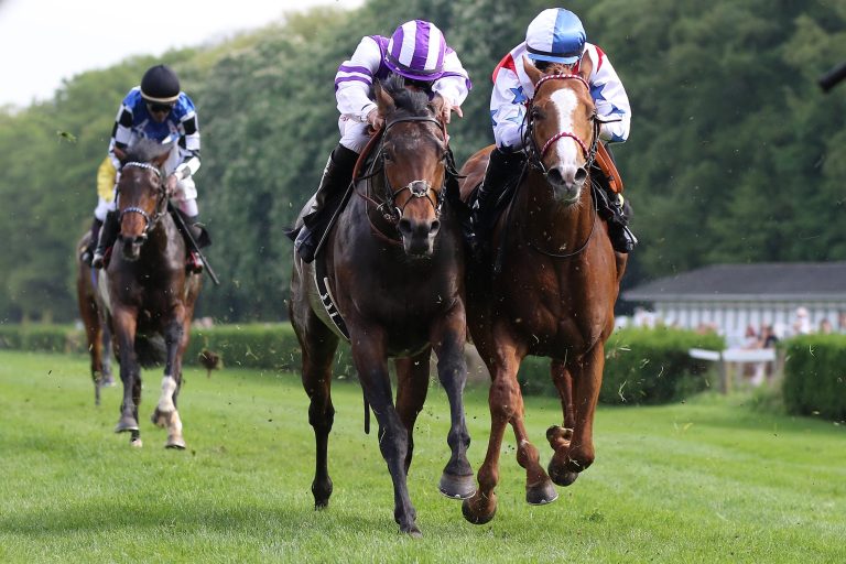 All for Arthur am Donnerstag im Prix Ridgway