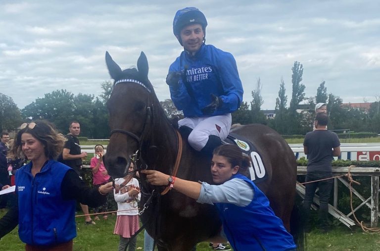 Alpen Rose in Dresden zu stark für deutsche Pferde