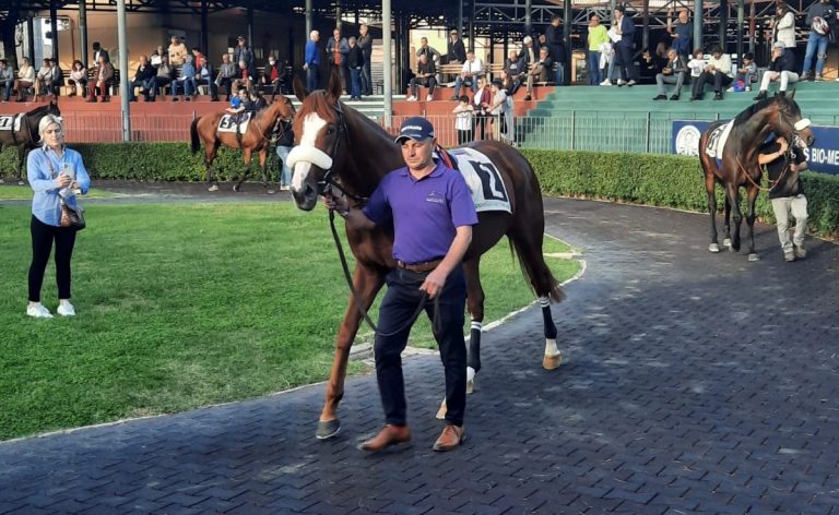 Alter Adler Zweiter im Premio del Jockey Club