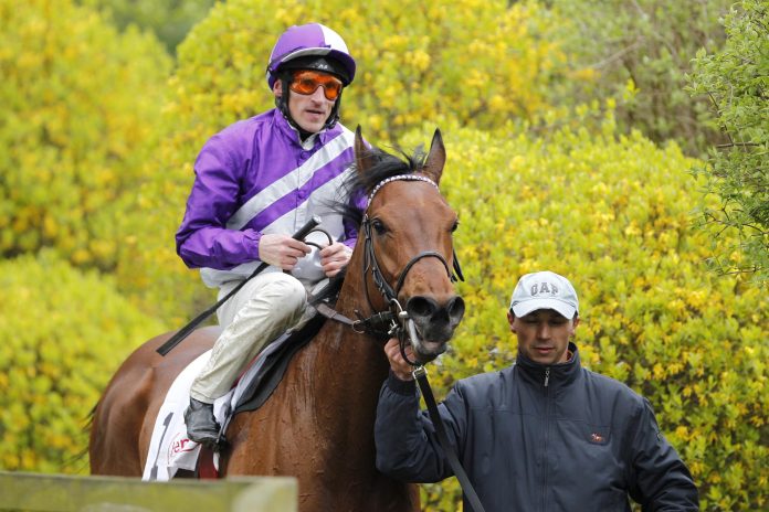 amarillo_mit_a.starke