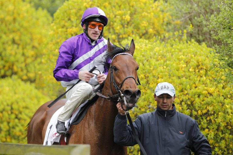 Amarillo im Listenrennen in Köln